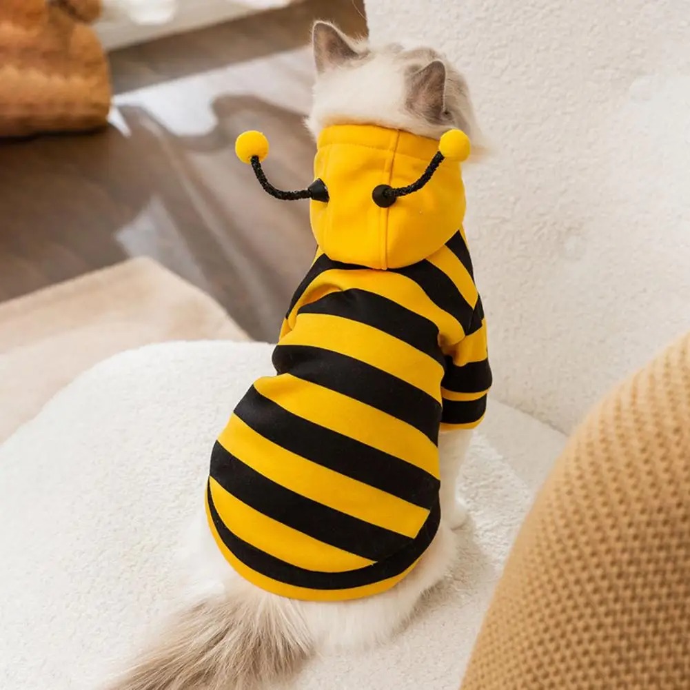 Pet Cats Clothes Kitten Stuff  - Winter Clothing For Dogs review and price
