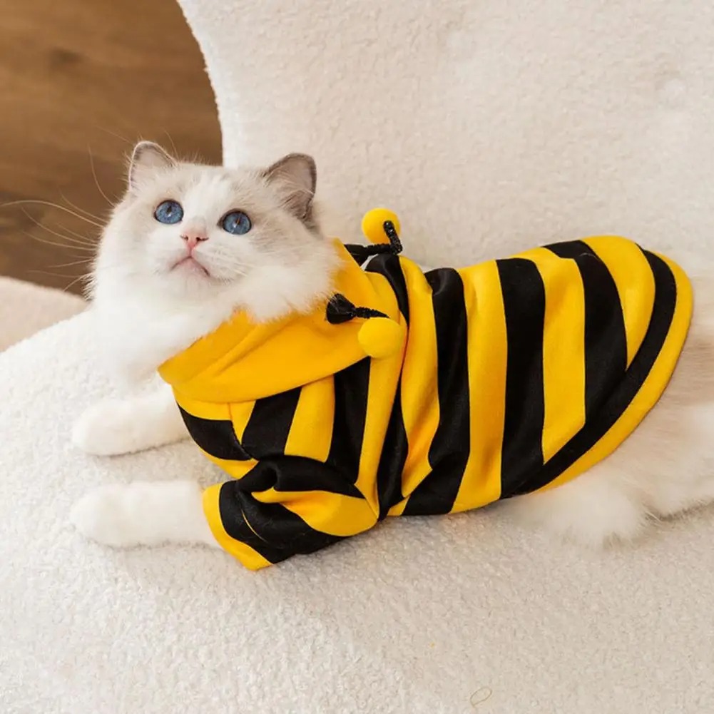 Pet Cats Clothes Kitten Stuff  - Winter Clothing For Dogs review and price
