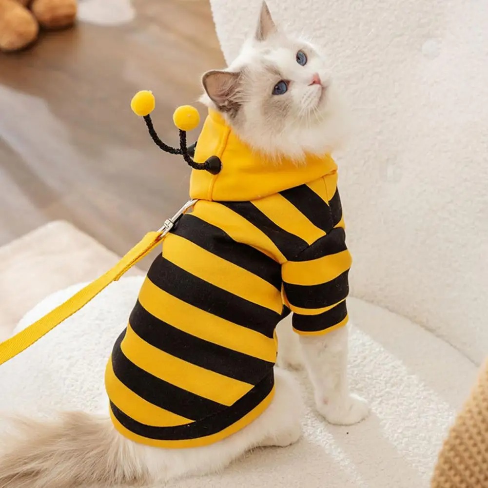 Pet Cats Clothes Kitten Stuff  - Winter Clothing For Dogs review and price