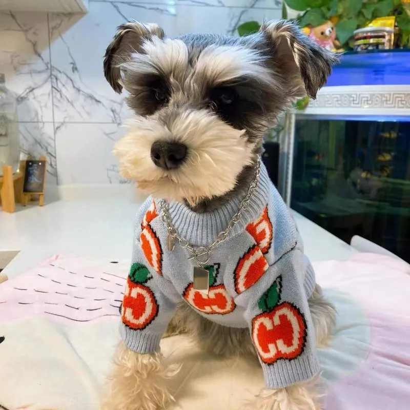 Letter Sweater Pet Dog Clothes - Winter Clothing For Dogs review and price