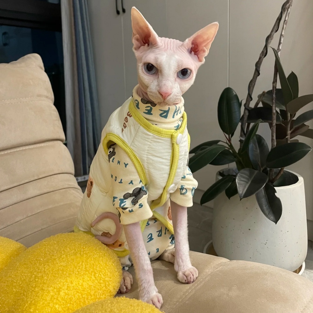 Thick Cotton Cartoon Winter Ja - Yellow Winter Clothing review and price