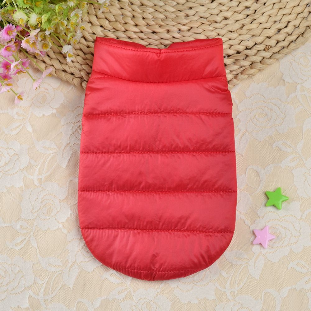 Lightweight for Cold Weather D - Winter Clothing For Dogs review and price