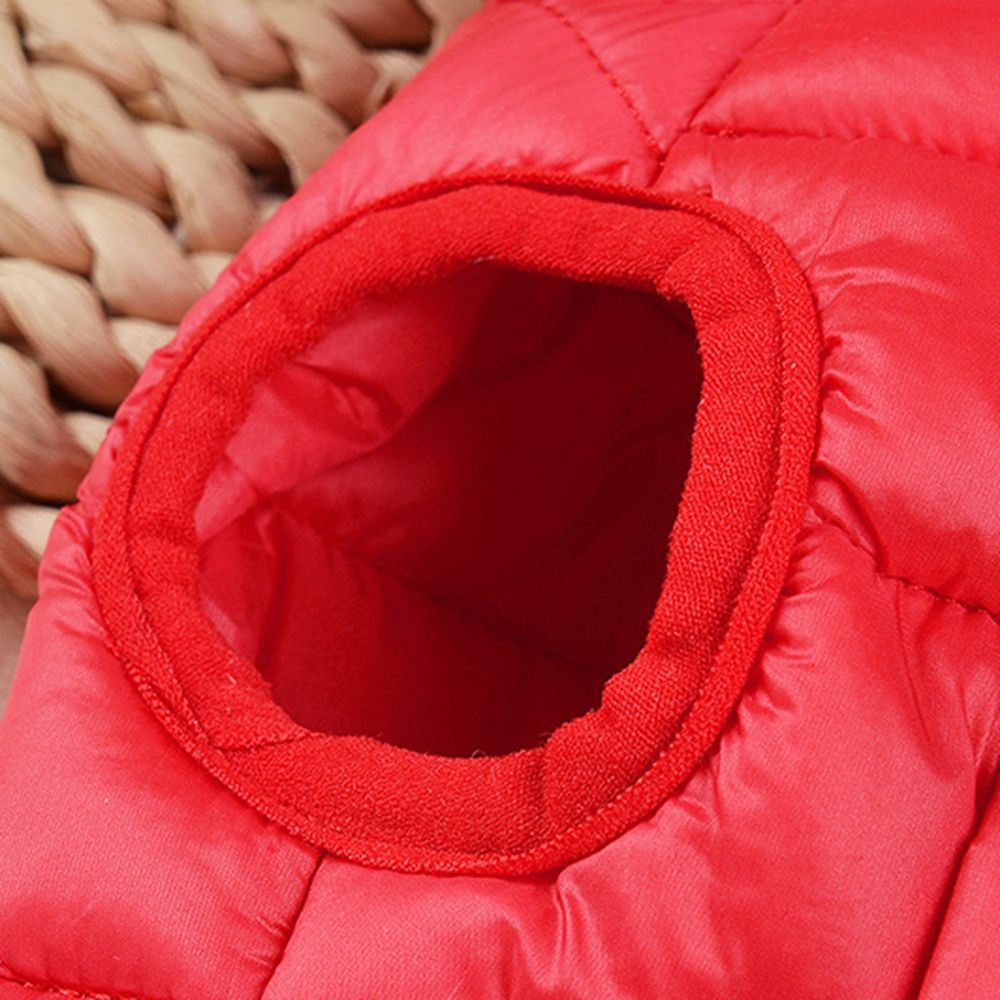 Lightweight for Cold Weather D - Winter Clothing For Dogs review and price