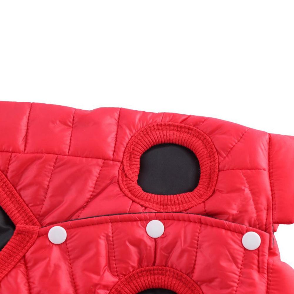 Lightweight for Cold Weather D - Winter Clothing For Dogs review and price