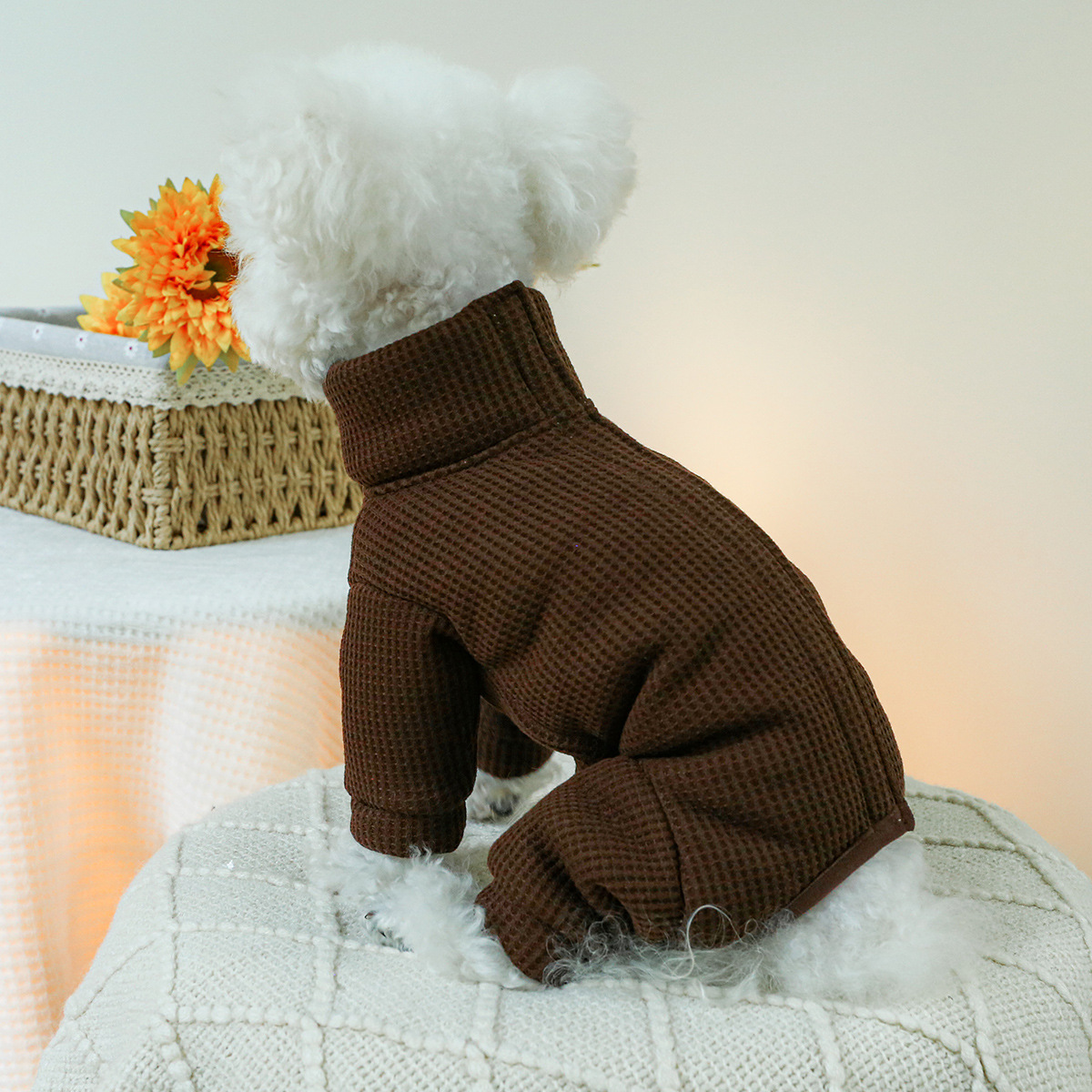 Winter Costumes for Dogs Autum - Winter Clothing For Dogs review and price