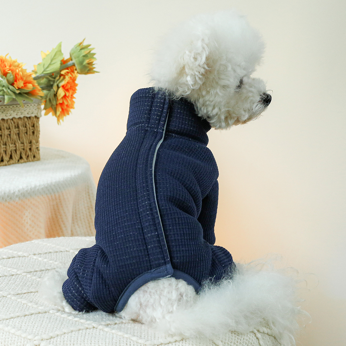 Winter Costumes for Dogs Autum - Winter Clothing For Dogs review and price