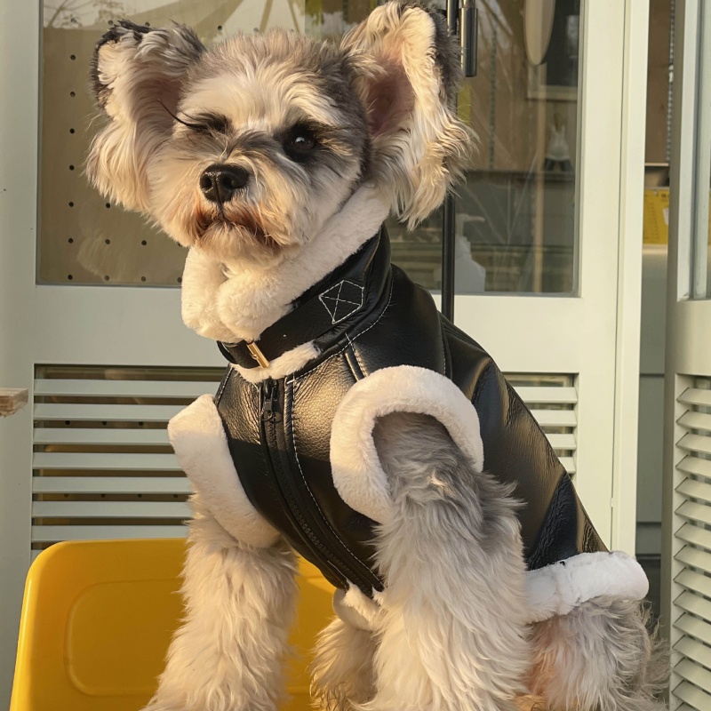 Pet Autumn Winter Velvet Sleev - Winter Clothing For Dogs review and price