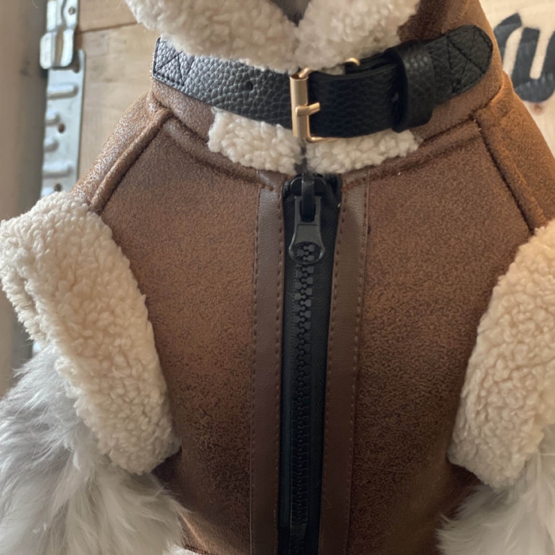 Pet Autumn Winter Velvet Sleev - Winter Clothing For Dogs review and price